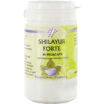 Holisan Shilayur Forte, 45 Veg. capsules