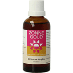 Zonnegoud Echinacea Simplex, 50 ml