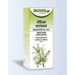 Biover Allium Ursinum Tinctuur Bio, 50 ml