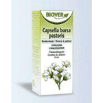 Biover capsella Bursa Pastor Tinctuur Bio, 50 ml