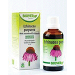 Biover Echinapurpurea Tinctuur Bio, 50 ml