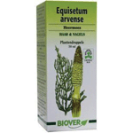 Biover Equisetum Arvense Tinctuur Bio, 50 ml