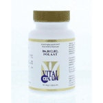 Vital Cell Life Vitamine B6/b12/b2 Folaat, 60 Veg. capsules