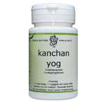 Surya Kanchan Yog, 60 tabletten