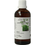 Natura Sanat Levisticum Officinalis Rad / Lavaswortel Tinctuur, 100 ml