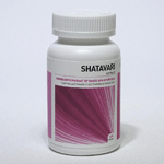 Ayurveda Health Shatavari, 120 tabletten