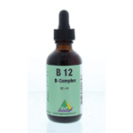 Snp Vitamine B12 B Complex Sublingual, 60 ml