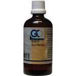 Go Alnus Glutinosa, 100 ml