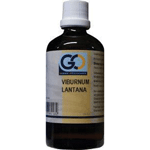 Go Viburnum Lantana Bio, 100 ml