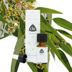 Chi Eucalyptus Citriod Wild, 20 ml