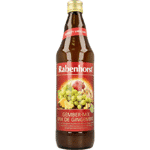 Rabenhorst Ginger Mix Bio, 750 ml