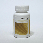 Ayurveda Health Shallak, 60 tabletten