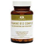 van der pigge vitamine b12 complex, 90 zuig tabletten