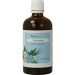 Balance Pharma Ribes Nigrum Tincturen, 100 ml