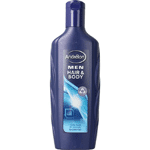 Andrelon Shampoo Men Hair & Body, 300 ml